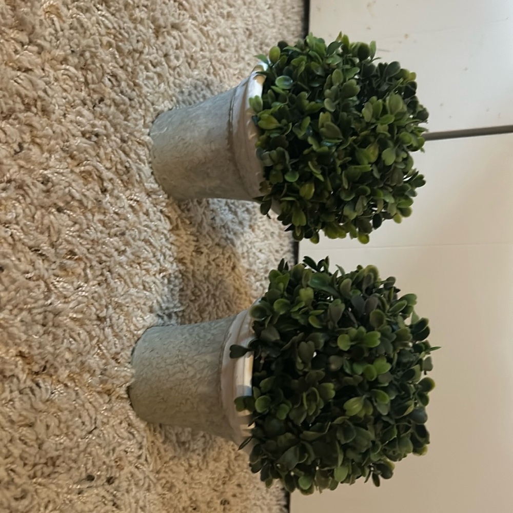 Decorative greenery
